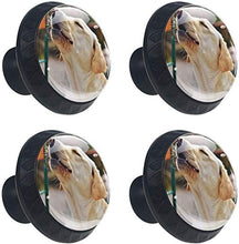 Labrador Get Stoned Dog Pomelli per Porta Set di 4 Pomelli per Mobili Manopole per Cassetti Cucina Armadio Vetro