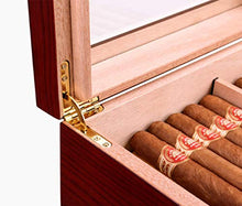 DPLQX Caja de cigarros, sigari armadi Versatilità Durevole Buona Tenuta Portatile Humidor per sigari Finestra di Vetro Trasparente Risparmia Spazio,Brown_260x220x110mm/10x9x4in