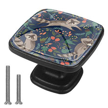 Procione carino Pomelli per Porta Set di 4 Pomelli per Mobili Manopole per Cassetti Cucina Armadio Vetro