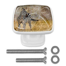 Zebra retrò 4 PCS Pomelli per Porta, Pomolo per Mobile, Pomelli per Mobili con Viti, Maniglia per Armadietto, Pomelli per Porta, Pomelli per Cassetti per Porta, Armadio, Cassetto e Credenza