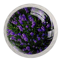 lavanda 4 PCS Pomelli per Porta, Pomolo per Mobile, Pomelli per Mobili con Viti, Maniglia per Armadietto, Pomelli per Porta, Pomelli per Cassetti per Porta, Armadio, Cassetto e Credenza