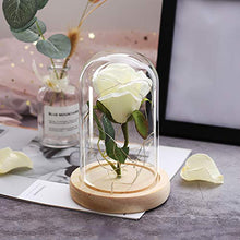 QYMX Eternal Flower ， Romanticismo Eternal Life Fiore Copertura di Vetro Rosa in Una boccetta Lampada Regalo di Natale Regalo di Compleanno Regali di San Valentino Decor
