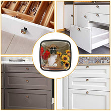 Cucciolo di boxer di fiori Pomelli per Porta Set di 4 Pomelli per Mobili Manopole per Cassetti Cucina Armadio Vetro