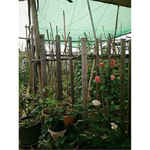 BYWWANG Tendalino da Piscina tendalino Tenda da Sole Vento Tela Mimetica Rete Verde Ombra