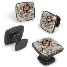 Gatto nel mucchio di soldi Pomelli per Porta Set di 4 Pomelli per Mobili Manopole per Cassetti Cucina Armadio Vetro