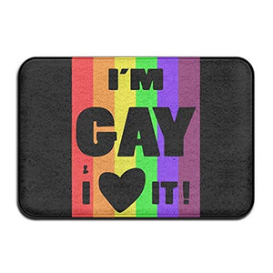 Wdskbg I'm Gay And I Love It Non-Slip Outside/Inside Door Mat rug for Health And Wellness Bathroom Bathroom zerbino 23.6"x 15.7"