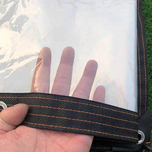 Telone e Telo Copertura Protezione Contro La Pioggia del Giardino,Multiuso Trasparente Impermeabile Tela,Tenda da Pioggia di Plastica, Inverno Antigelo PE Morbido Film per Piante (5x10m/16.4x32.8ft)