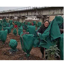 Pianta Calda Non Tessuta Avvolto Albero Protezione Giardino Arbusto Cintura Verde Avvolto Albero Antivento A Prova di Freddo Copertura Antigelo,5Packs