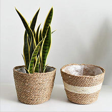 Duless - Cestino per fiori in paglia verde, per piante fresche in rattan e bambù, decorazione