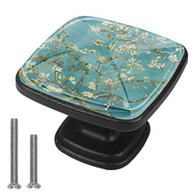 Priorità bassa della natura di primavera in stile vintage Pomelli per Porta Set di 4 Pomelli per Mobili Manopole per Cassetti Cucina Armadio Vetro
