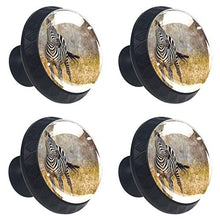 Zebra retrò 4 PCS Pomelli per Porta, Pomolo per Mobile, Pomelli per Mobili con Viti, Maniglia per Armadietto, Pomelli per Porta, Pomelli per Cassetti per Porta, Armadio, Cassetto e Credenza