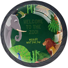 Benvenuti allo zoo Elephant Lion Peacock Giraffe Pomelli per Porta Set di 4 Pomelli per Mobili Manopole per Cassetti Cucina Armadio Vetro
