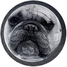 Bulldog britannico bianco nero Pomelli per Porta Set di 4 Pomelli per Mobili Manopole per Cassetti Cucina Armadio Vetro