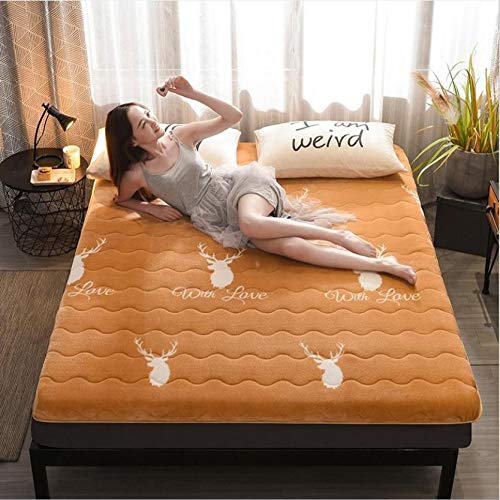 Nileco Materassino Trapuntato, Ultra Soft Coprimaterasso Trapuntato Traspirabilità Materasso Tatami Stuoie Pieghevole Materasso Futon Quattro Stagioni Disponibili-c 150x200cm(59x87inch)