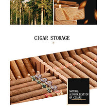 CHOUCHOU Posacenere per Sigari Scatola di sigari, Legno di Cedro Importato, umidità costante, umidificatore, vetrina