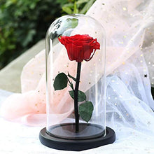 QYMX Eternal Flower Rose Red Rose in Flask Cupola di Vetro su Una Base di Legno per Il Regalo di Natale Decorazione della tavola di casa Fiori eterni