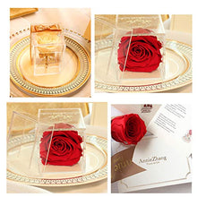 QYMX Eternal Flower ， Romantic Preserved Flower Eternal Flower Confezione Regalo Trasparente acrilica Singola Rosa San Valentino Regalo di Natale Squisito