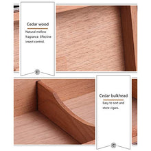 Scatola Di Sigari Humidor Con Umidificatore - Scatola Di Sigari Da Viaggio Portatile in Legno Di Cedro - Humidor in Pelle