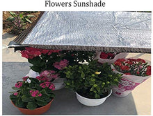 CXF Rete ombreggiante, Ombra Ombra Panno Paralume in Tessuto Sun-Block Mesh Bordo Nastrate con Occhielli Resistente ai Raggi UV for Giardino Copertura Fiori Piante Patio (Size : 2×4m)