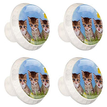 Tre gatti narcisi 4 PCS Pomelli per Porta, Pomolo per Mobile, Pomelli per Mobili con Viti, Maniglia per Armadietto, Pomelli per Porta, Pomelli per Cassetti per Porta, Armadio, Cassetto e Credenza