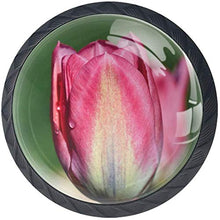 Fioritura Tulipano Fiore Rosa Pomelli per Porta Set di 4 Pomelli per Mobili Manopole per Cassetti Cucina Armadio Vetro