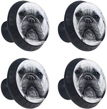 Bulldog britannico bianco nero Pomelli per Porta Set di 4 Pomelli per Mobili Manopole per Cassetti Cucina Armadio Vetro