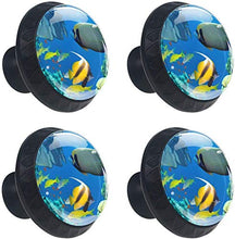 Imposta Ocean Fish Coral Reef Pomelli per Porta Set di 4 Pomelli per Mobili Manopole per Cassetti Cucina Armadio Vetro