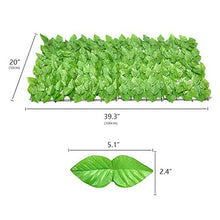 ZOUD - Schermo per recinzione di edera artificiale, 70 x 50 cm, estensibile con foglie di vite, decorazione per casa, giardino, cortile, esterno