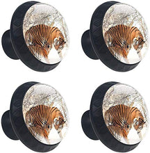 Tiger and Cub in The Snow Pomelli per Porta Set di 4 Pomelli per Mobili Manopole per Cassetti Cucina Armadio Vetro