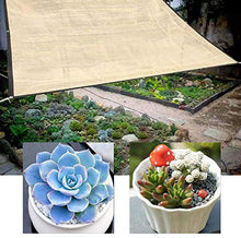 ZXXL Telo Ombreggiante Vela Parasole Beige al 90%, Copertura per Pergola All'aperto Rettangolare, Rete Ombreggiante Resistente Ai Raggi UV per Impieghi Gravosi per Cortile/Giardino/Piscina/Patio