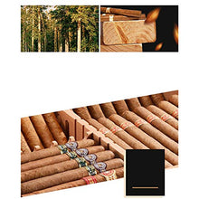 WangQ Armadietto per sigari - umidificatore per sigari Scatola di sigari in Legno di Cedro Importato umidificazione di umidificazione di sigari in Legno di Grande capacità humidor (Color : Black)