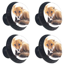 animale 4 PCS Pomelli per Porta, Pomolo per Mobile, Pomelli per Mobili con Viti, Maniglia per Armadietto, Pomelli per Porta, Pomelli per Cassetti per Porta, Armadio, Cassetto e Credenza