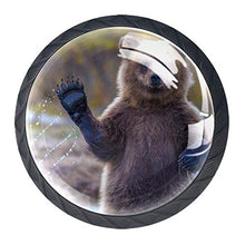 Ciao orso ciao 4 PCS Pomelli per Porta, Pomolo per Mobile, Pomelli per Mobili con Viti, Maniglia per Armadietto, Pomelli per Porta, Pomelli per Cassetti per Porta, Armadio, Cassetto e Credenza