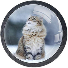 Cat Snow Eyes Pomelli per Porta Set di 4 Pomelli per Mobili Manopole per Cassetti Cucina Armadio Vetro