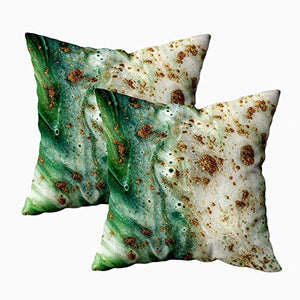 Kris.D Federe per Cuscini con Cerniera, federe quadrate per Fodere per Cuscino 2 Pezzi Molto Bello Colore Verde Polvere di Bronzo Pittura Astratta Pittura su Federe per Cuscini da Fattoria Verde Oro