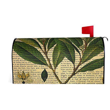 Stampa botanica su vecchia pagina del libro dal design unico per cassetta delle poste, copertina magnetica per giardino e cortile, dimensioni standard 53 x 45 cm