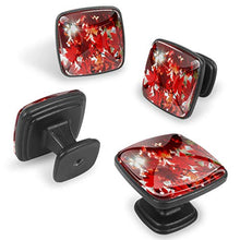 Acero d'autunno 4 PCS Pomelli per Porta, Pomolo per Mobile, Pomelli per Mobili con Viti, Maniglia per Armadietto, Pomelli per Porta, Pomelli per Cassetti per Porta, Armadio, Cassetto e Credenza