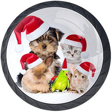 Xmas Crew Gatto Cane Uccello Mouse E Coniglio Coniglio Con Cappelli Di Babbo Natale Pomelli per Porta Set di 4 Pomelli per Mobili Manopole per Cassetti Cucina Armadio Vetro