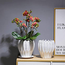 ZYLE Forma Modern Home Ceramica Vaso di Fiori in Vaso Verde Europea Lotus Flower Style