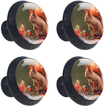 Red Squirrel Pomelli per Porta Set di 4 Pomelli per Mobili Manopole per Cassetti Cucina Armadio Vetro