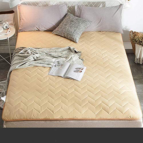 DGYAXIN - Coprimaterasso in Flanella di Peluche Spesso Tatami per Pavimenti futon Tatami, Morbido coprimaterasso Futon Tatami Imbottito Senza Sostanze chimiche, 120 x 200 cm, F, 120x200cm(47x79inch)