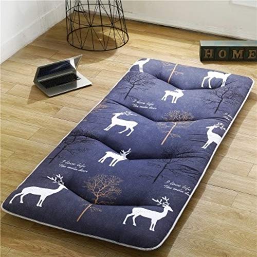 Nileco Tatami Materasso da Terra Schiuma di Memoria, Coprimaterasso Trapuntato Giapponese Materasso Futon Pieghevole Mat Cuscino per La Casa,dormitorio Studentesco-c W120*h200cm(47 * 78inch)