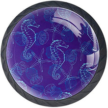 Conchiglia di cavalluccio marino viola navy viola Pomelli per Porta Set di 4 Pomelli per Mobili Manopole per Cassetti Cucina Armadio Vetro