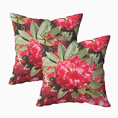 Kris.D Quadrati 18X18 Bellissimo Primo Piano Diversi Fiori Rossi Foglie Verdi Albero in Piena fioritura Fiore di Primavera Pasqua Cuscini con con Stampa su Arredamento Rustico Rosso
