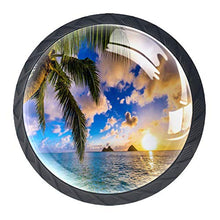 Alba hawaiana 4 PCS Pomelli per Porta, Pomolo per Mobile, Pomelli per Mobili con Viti, Maniglia per Armadietto, Pomelli per Porta, Pomelli per Cassetti per Porta, Armadio, Cassetto e Credenza