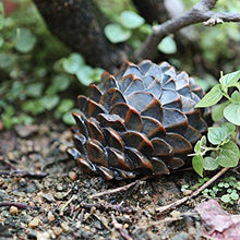 qiuqiu Scatola per nascondigli Chiave da Giardino Custodia per Travestimento in Resina Custodia per Chiavi Cassetta di Sicurezza segreta Scatola di Ricambio per Esterni Salvadanaio