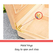 YYYUR Cedar Cigar Box, Moderna e Semplice del Grande capacità Cigar Humidor, Casa Domanda su alcolizzazione Cigar Box, 30 sigari