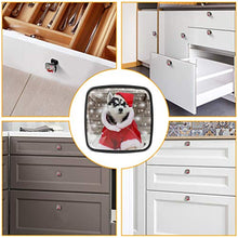 Siberian Husky Puppy in New Year's and Christmas Costume Pomelli per Porta Set di 4 Pomelli per Mobili Manopole per Cassetti Cucina Armadio Vetro