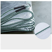 Telone Trasparente Impermeabile Telo Antipioggia e Antipolvere con Occhiello,Tenda da Sole for Esterno,PVC Film Tenda in Plastica,Copertura for Isolamento Vegetale Film,400g/? (2.3x3m/7.5x9.8ft)