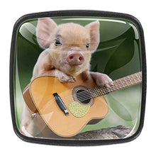 Piggy e chitarra 4 PCS Pomelli per Porta, Pomolo per Mobile, Pomelli per Mobili con Viti, Maniglia per Armadietto, Pomelli per Porta, Pomelli per Cassetti per Porta, Armadio, Cassetto e Credenza